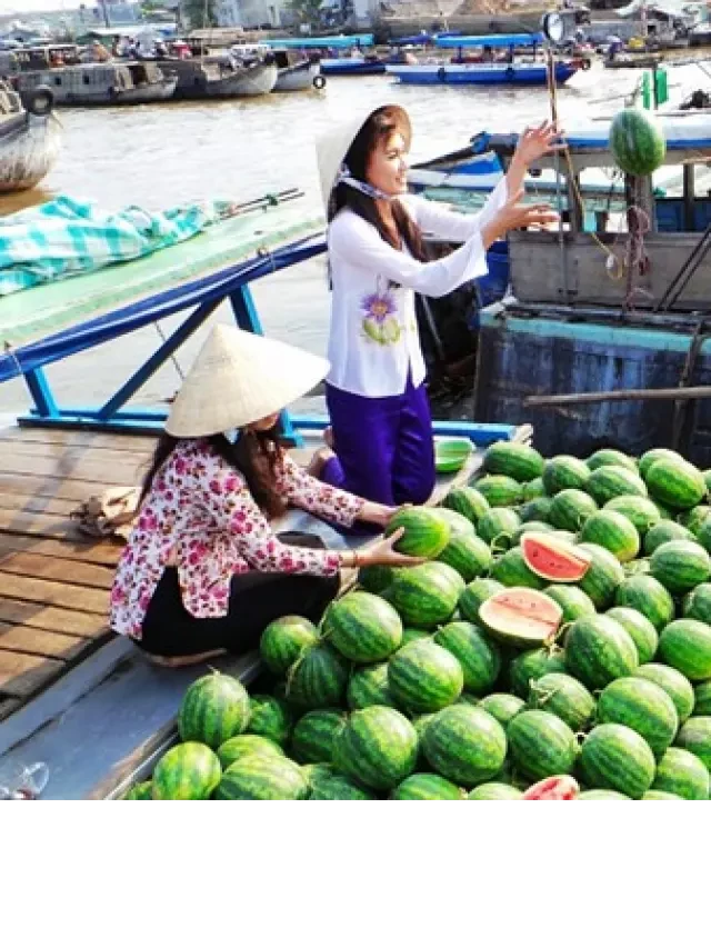  10 địa điểm du lịch ở Cà Mau đẹp nhất