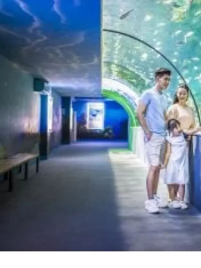   Du lịch Hà Nội 1 ngày: 17 địa điểm tham quan, vui chơi hút khách nhất 2023