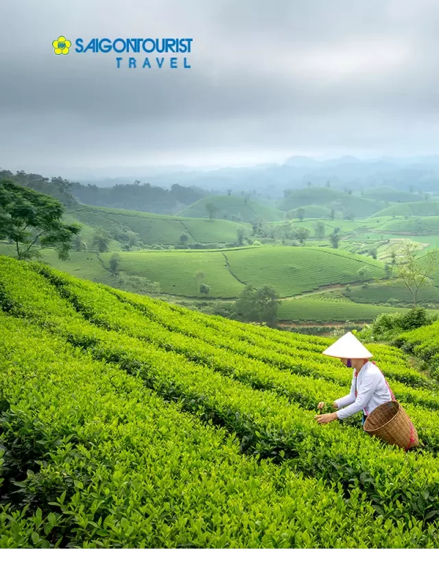   Du lịch Phú Thọ - Khám phá vườn Quốc Gia Xuân Sơn