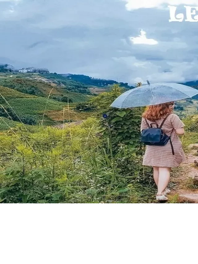   Kinh nghiệm du lịch Tân Sơn Phú Thọ: Khám phá vùng đất hoang sơ tuyệt đẹp