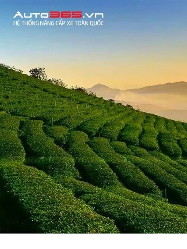   TOP 12 ĐỊA ĐIỂM DU LỊCH NỔI BẬT NHẤT TẠI ĐÀ LẠT - LÂM ĐỒNG