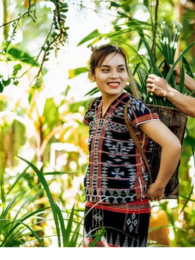   Tour A Lưới 2N1D – Khám phá vẻ đẹp vùng cao từ Huế