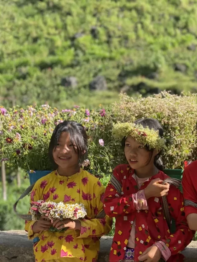   Tour Cần Thơ – Hà Giang – Sông Nho Quế 4 Ngày