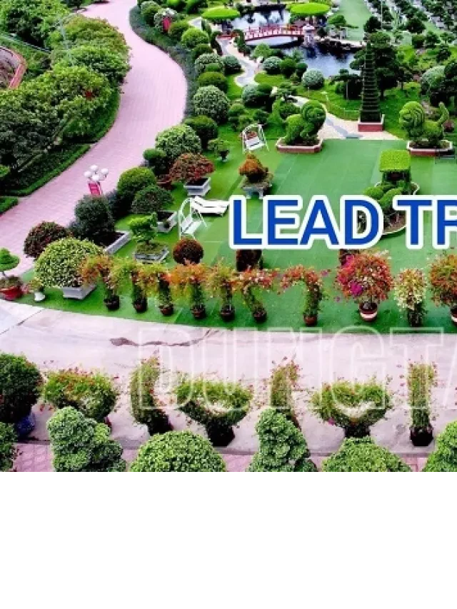   Du lịch Dũng Tân Thái Nguyên - Một hành trình đặc biệt