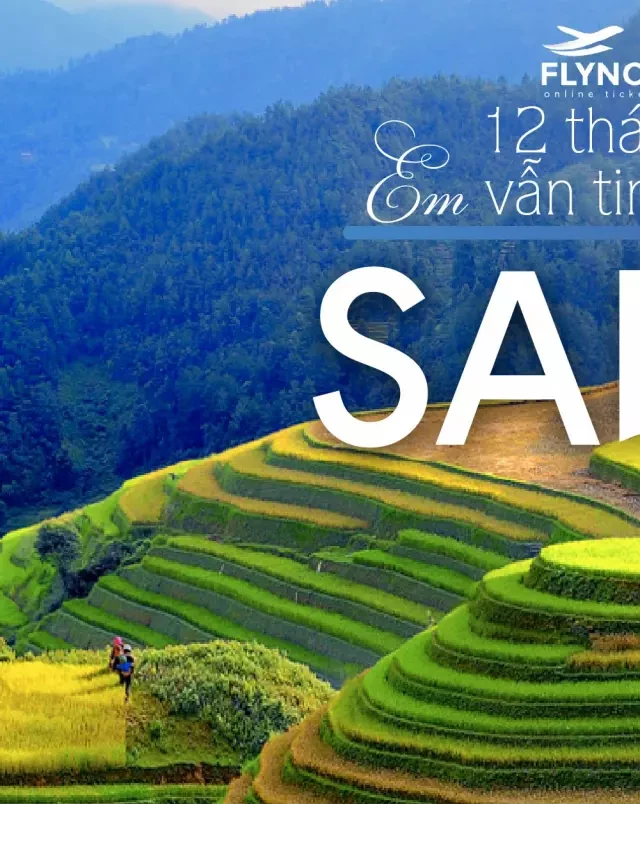   12 tháng ở Sapa – 12 cung bậc cảm xúc không thể trộn lẫn