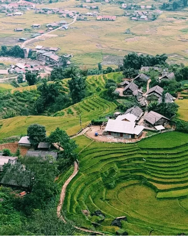   Bản Tả Phìn: Ẩm thực và trải nghiệm văn hóa độc đáo tại Sapa