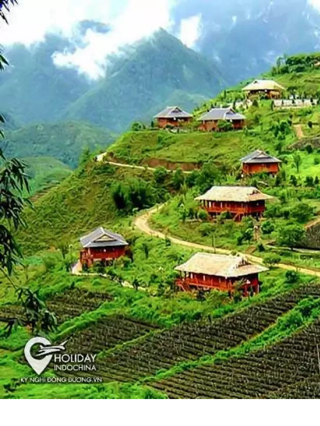   Bản Tả Phìn: Khám phá vẻ đẹp yên bình của Sapa
