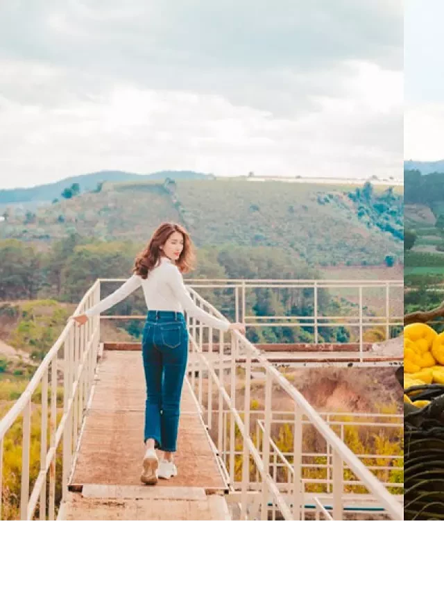   Bảng giá vé khu du lịch Thuý Thuận Đà Lạt - Khám phá thiên nhiên tuyệt đẹp
