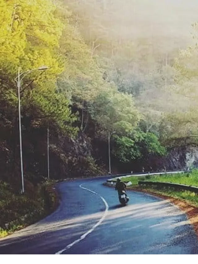   Cẩm Nang Phượt Đà Lạt Bằng Xe Máy Từ A-Z: Hành Trình An Toàn và Tiết Kiệm