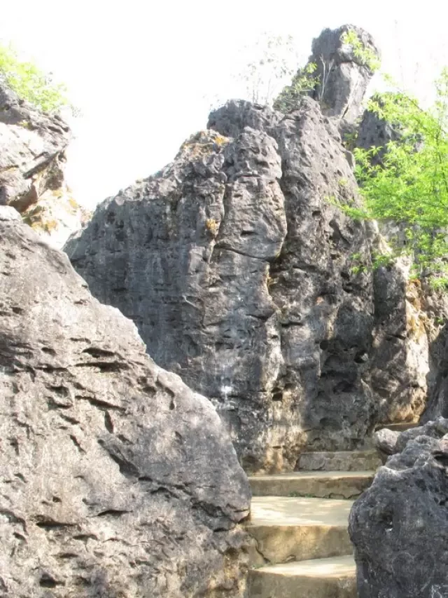   Cổng Trời Sapa: Khám phá Đẹp Mê Hồn của Sapa