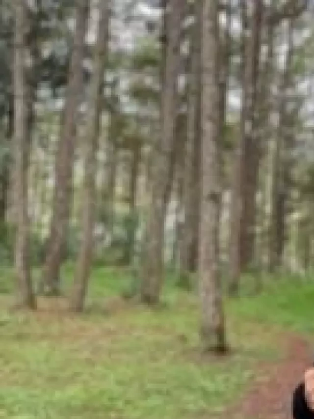   Dinh 1 Đà Lạt – Khám phá công trình lịch sử độc đáo