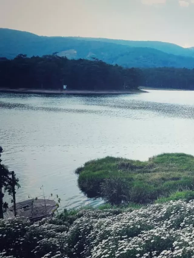   Happy Hill Đà Lạt: Nơi "hút" khách thú vị!