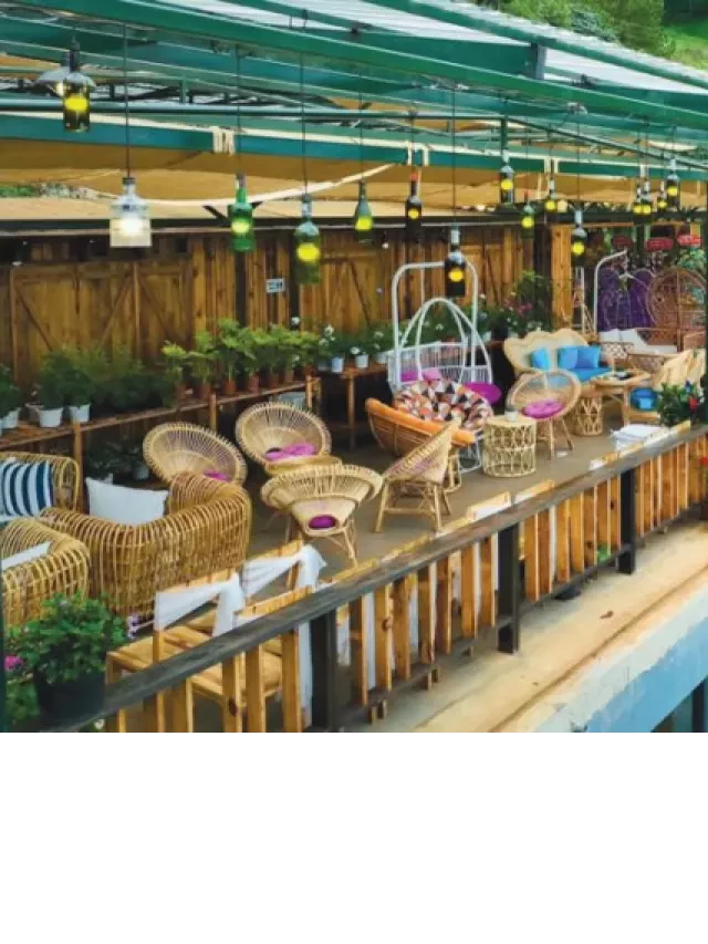   Khu du lịch Lavender Đà Lạt: Điểm nhấn ấn tượng tại hồ Tuyền Lâm