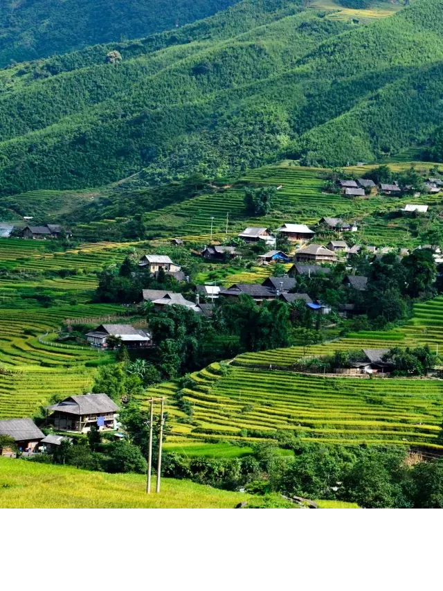   Lao Chải - Tả Van: Khám phá "nàng thơ" yên bình giữa núi rừng Tây Bắc