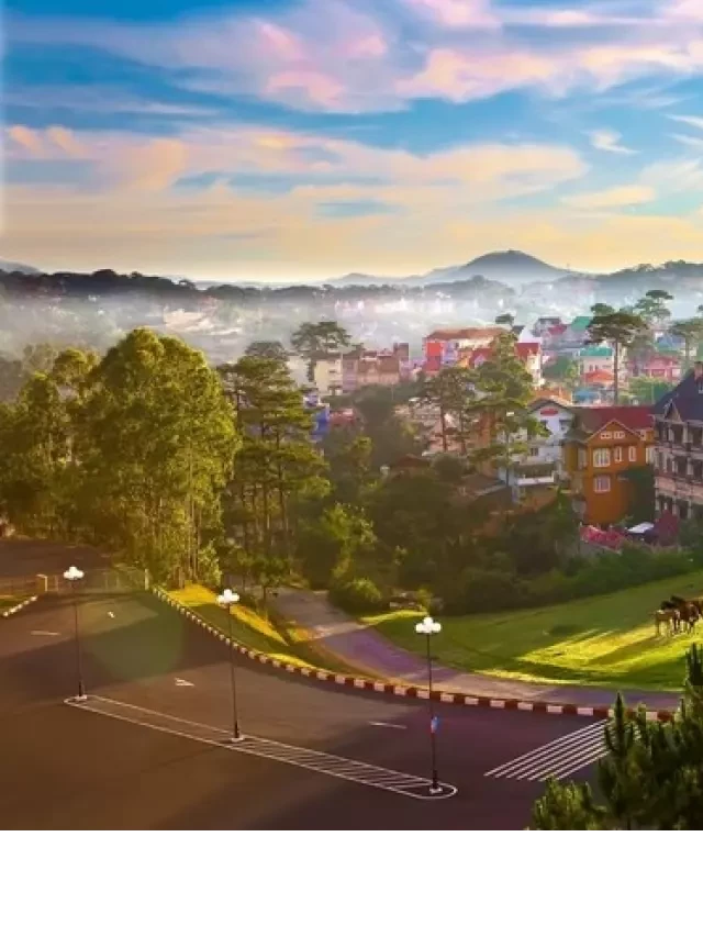   Đẹp rạng ngời Đà Lạt mùa đông năm 2023