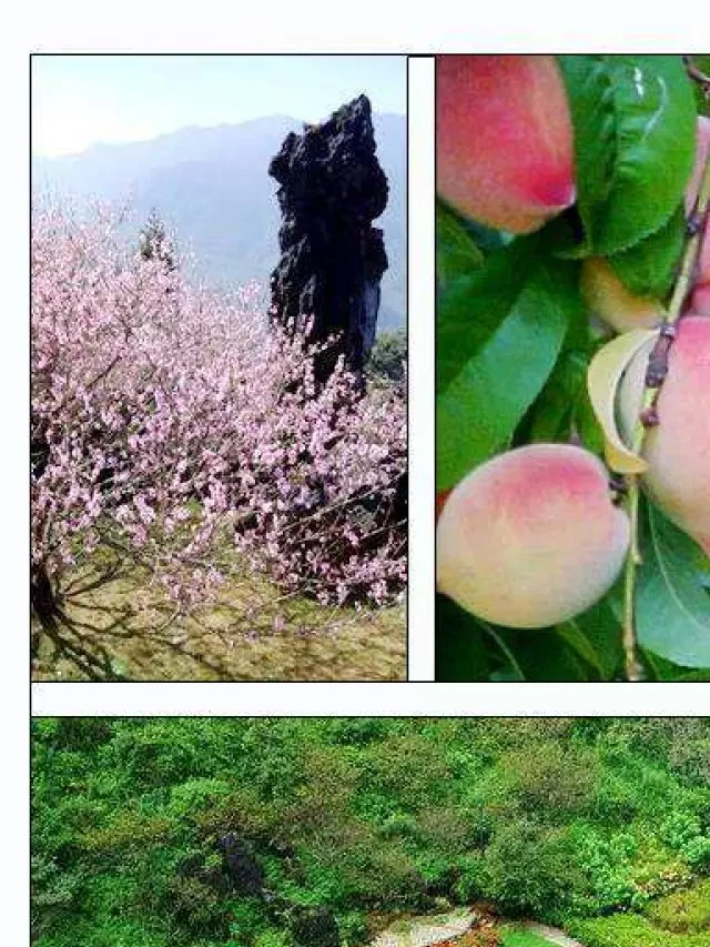   Du lịch Sapa: Khám phá Sapa trong 3 ngày 2 đêm với giá cực tốt