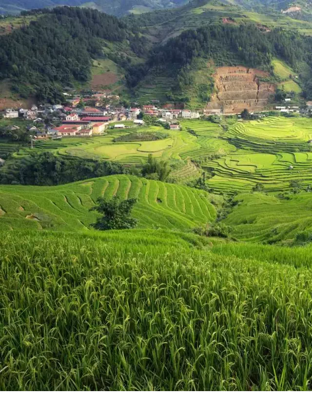   Khám phá du lịch Sapa: Thiên đường nằm trong lòng núi