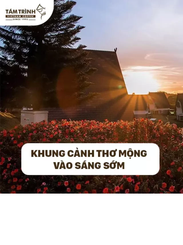  Khu Vui Chơi Wonderland Đà Lạt – Trải Nghiệm Giải Trí Tuyệt Vời