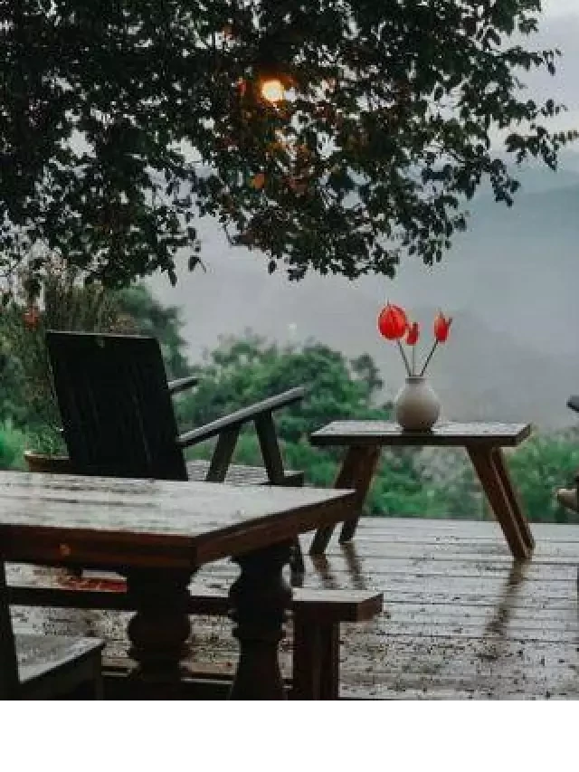   Lý do bạn nên đi du lịch Đà Lạt tháng 8