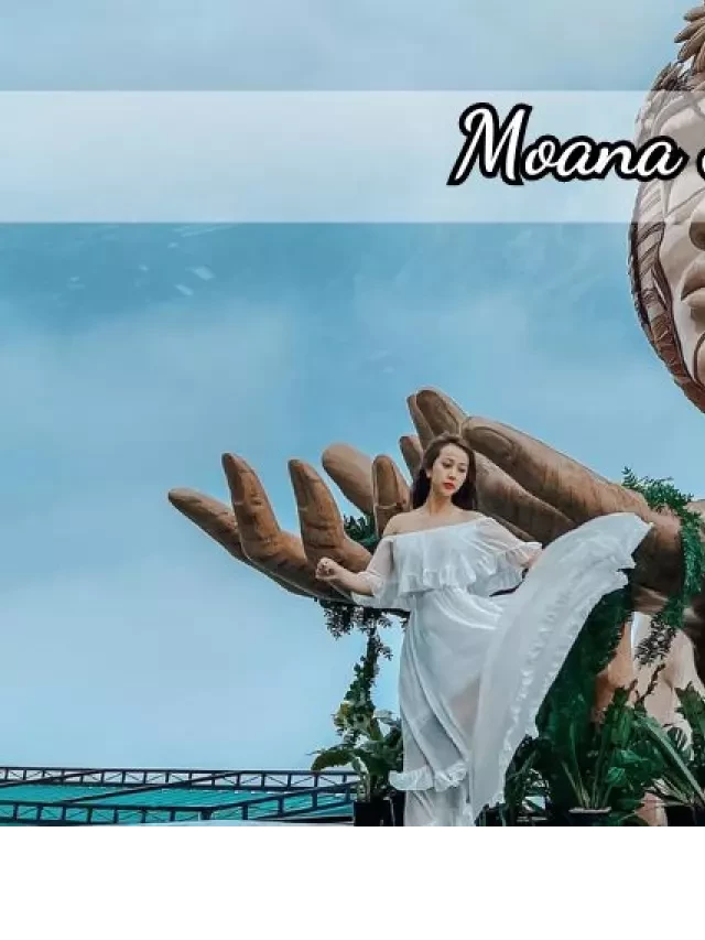   Moana Sapa – Khám phá những góc chụp đẹp