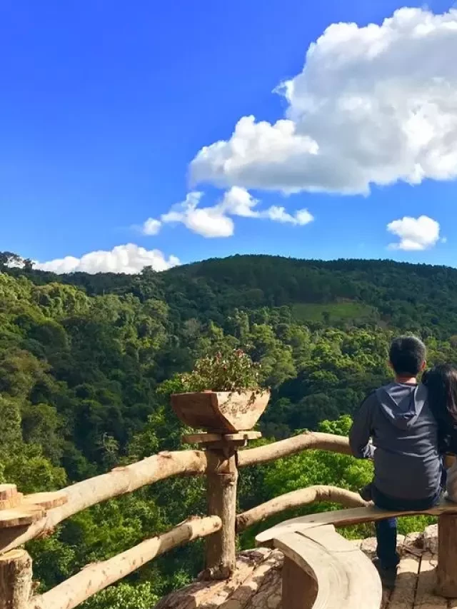   MỚI NHẤT - Lưu ý du lịch Đà Lạt cho gia đình: Kinh nghiệm du lịch giá rẻ và chất lượng