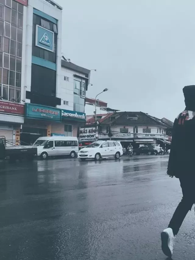   Một nhìn nhận mới về thời tiết Đà Lạt tháng 7 và những điều bạn cần biết
