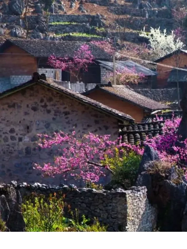   Đánh giá chi tiết Tour SaPa 2 Ngày 1 Đêm - Tìm hiểu lịch trình và kinh nghiệm du lịch hấp dẫn