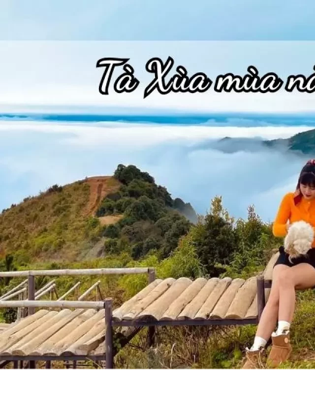   Tà Xùa - Khám phá sắc mùa Việt Nam