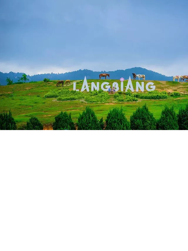   Tận hưởng những địa điểm du lịch Đà Lạt đẹp khó cưỡng