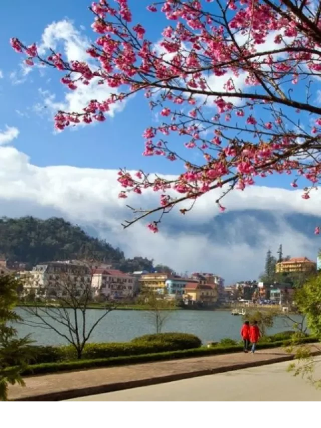   Thời Tiết Sapa Tháng 2 – Khám Phá Vẻ Đẹp Sapa Trong Mùa Xuân