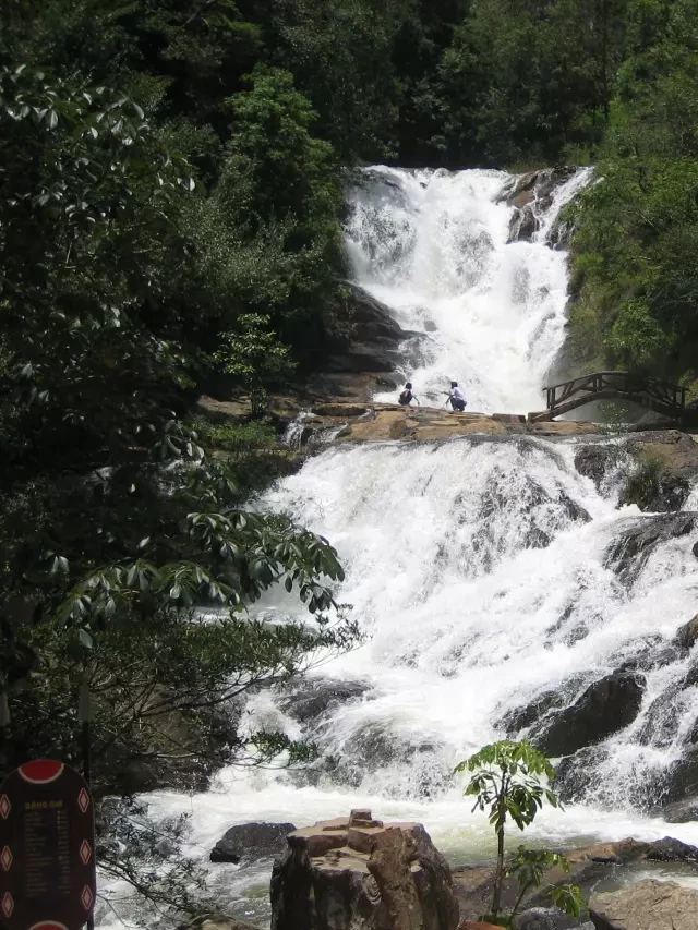   Tour Đà Lạt 2 Ngày 1 Đêm: Trải Nghiệm Du Lịch Thú Vị Năm 2023