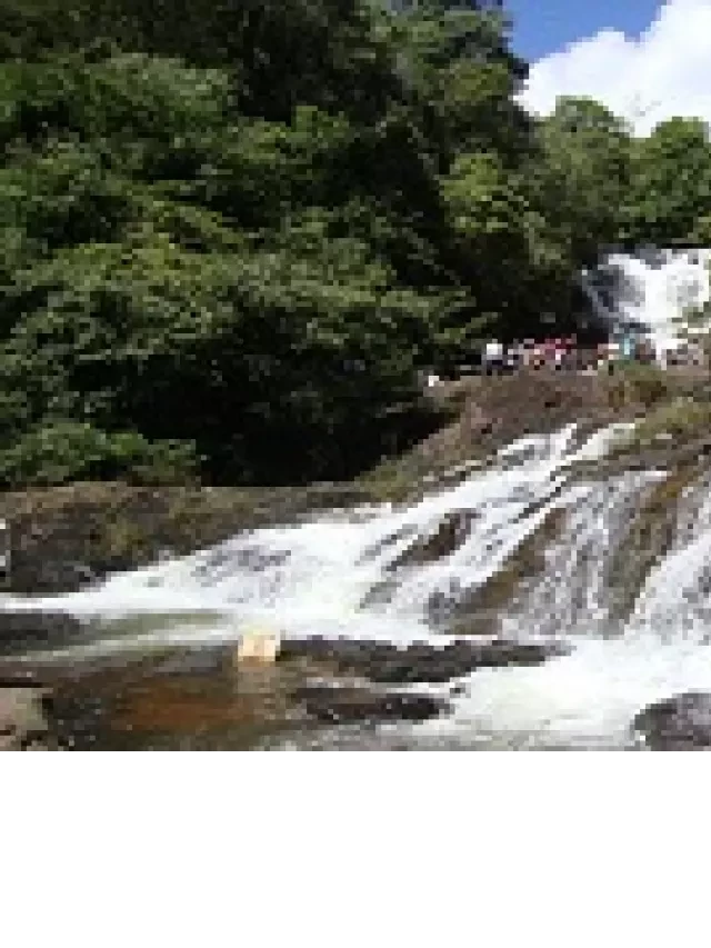   Tour Đà Lạt - Khám phá thành phố hoa thơ mộng