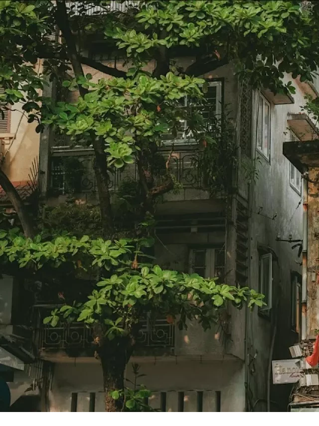  12 Địa điểm du lịch miền Bắc tháng 10: Khám phá vẻ đẹp độc đáo và thú vị