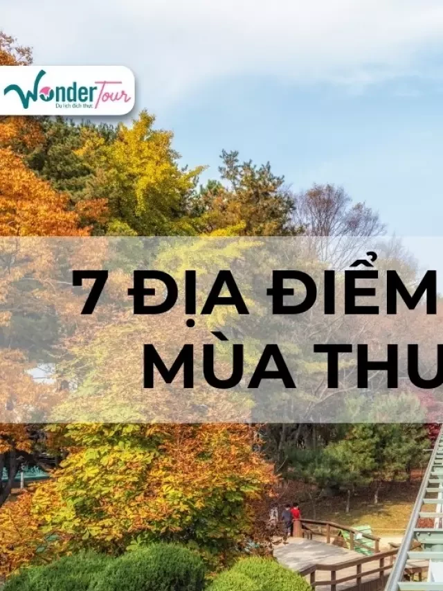   7 địa điểm gặp gỡ mùa thu Seoul đẹp đến nao lòng