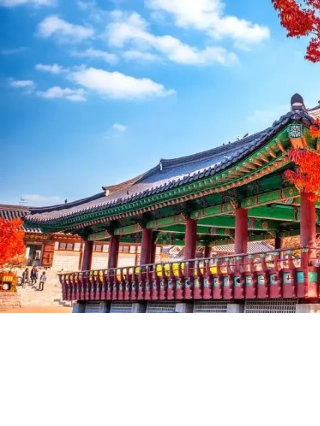   Bỏ túi kinh nghiệm du lịch Hàn Quốc mùa lá đỏ 2023