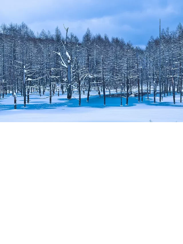   Du lịch Hokkaido vào mùa đông: Khám phá những điểm thu hút độc đáo