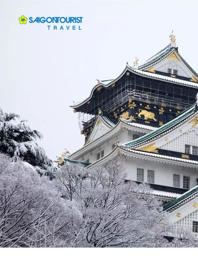   Du lịch Nhật Bản đón Tết Nguyên Đán 2023 [Osaka-Kyoto-Nagoya-Núi Phú Sĩ-Tokyo]: Chiêm ngưỡng Lễ hội ánh sáng Illumination &amp; Trượt tuyết núi Phú Sĩ