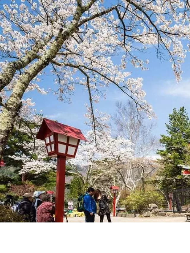   Giá tour Nhật Bản 5 ngày 4 đêm: Khám phá đất nước Mặt trời mọc