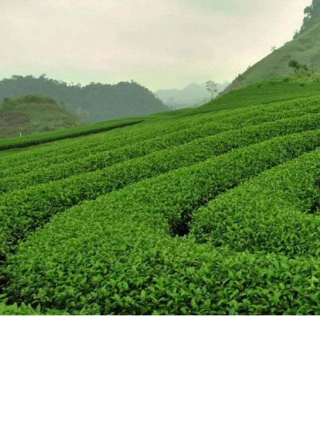   10 Điểm Du Lịch Miền Bắc Cho Kỳ Nghỉ Lễ 30/4