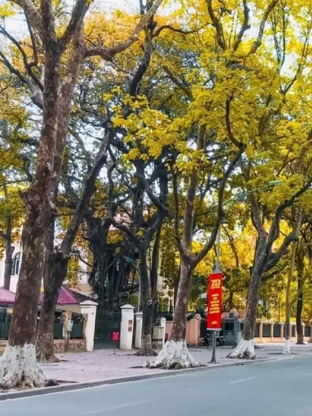   12 Địa điểm du lịch miền Bắc tháng 9 đẹp nhất năm 2024