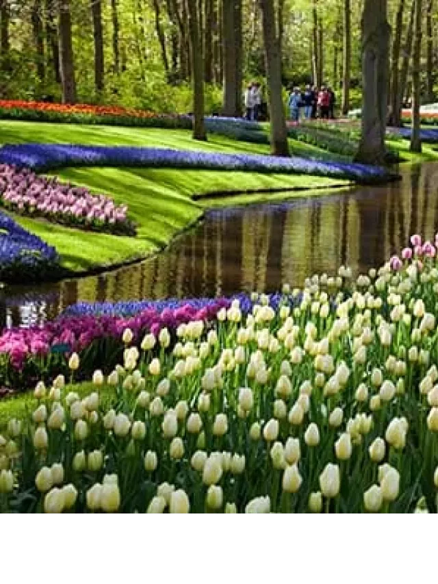   Địa điểm ưa thích ở Amsterdam- Hà lan : Top 7 nơi không thể bỏ qua