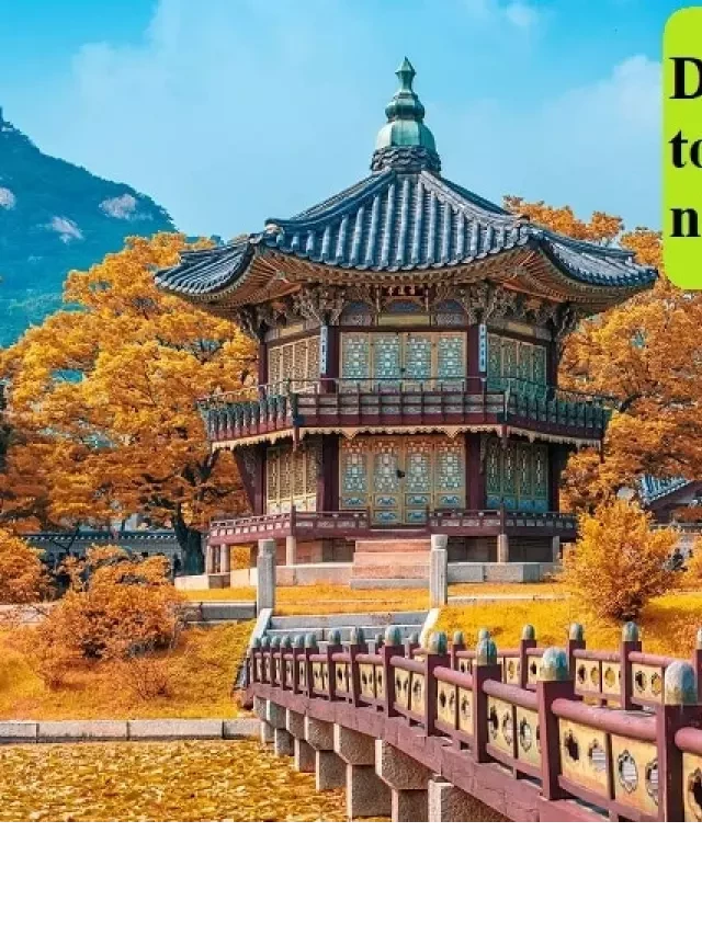  Du lịch Hàn Quốc: Đi tour hay tự túc - Ưu nhược điểm nào?