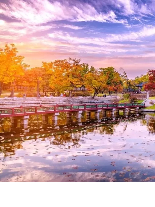   Du lịch Hàn Quốc: Nổi bật tour du lịch 5 ngày 4 đêm