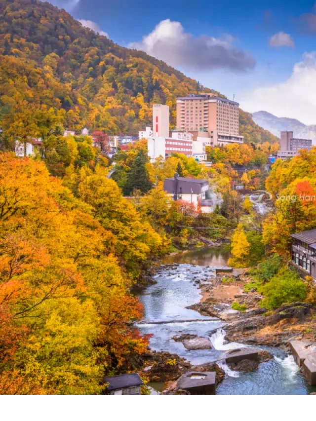   Du Lịch Hokkaido Mùa Thu: Khám Phá Màu Sắc Thơ Mộng