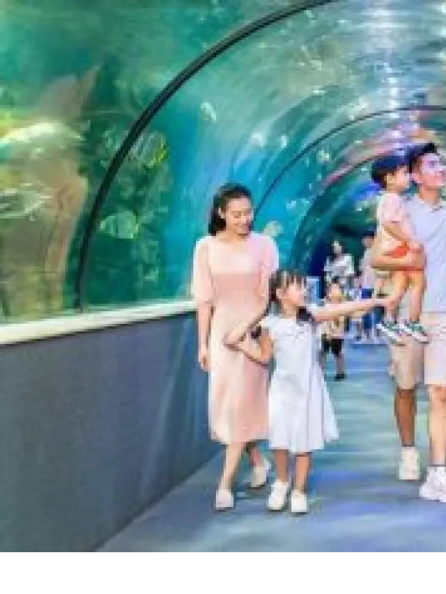   Du lịch miền Bắc tháng 11: Khám phá những trải nghiệm độc đáo