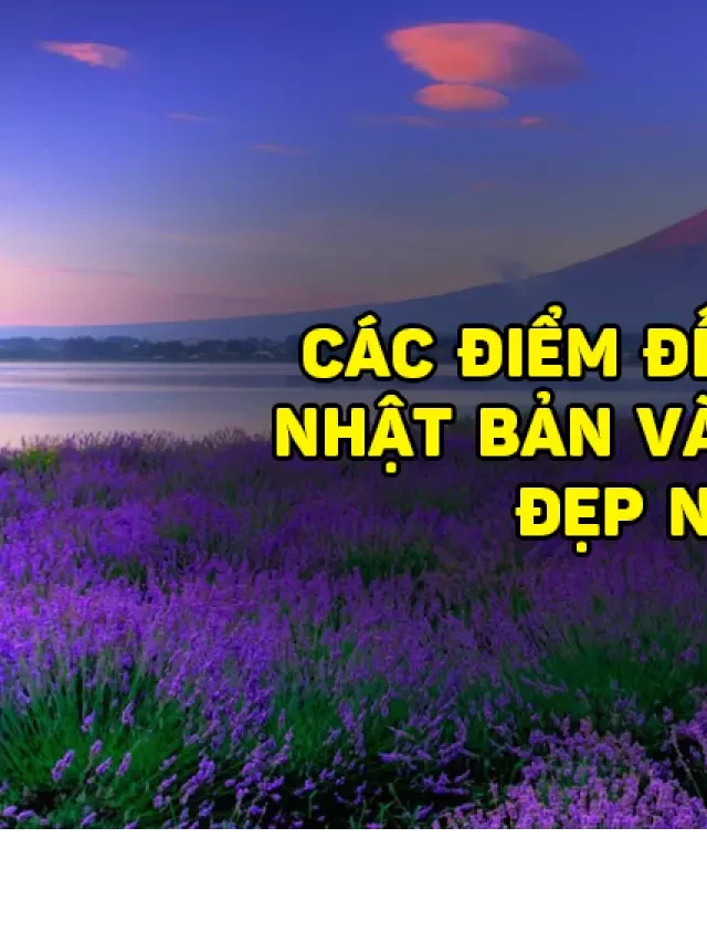   Du lịch Nhật Bản tháng 6: Khám phá mùa hoa đẹp nhất