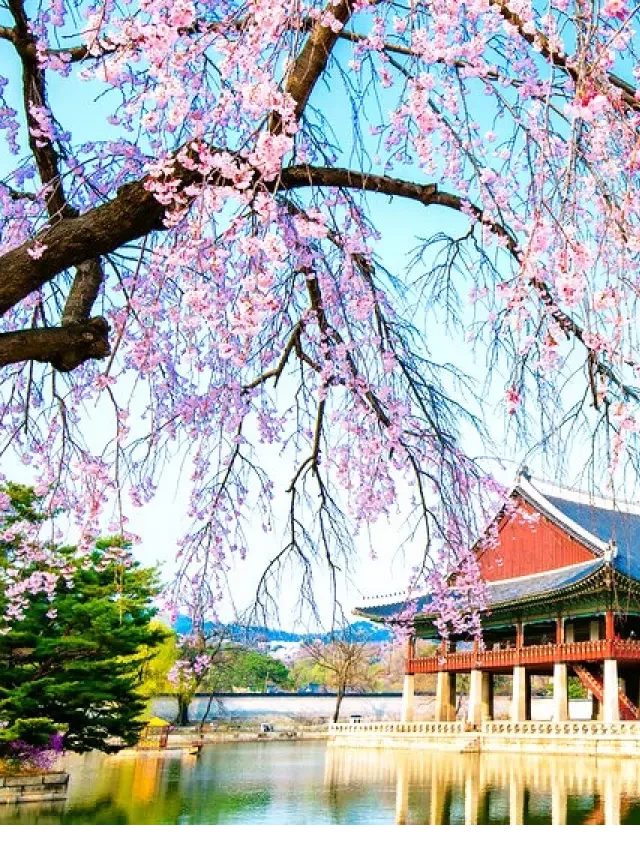   Du lịch Hàn Quốc tết: Khám phá 09 điểm đến hút khách 2024