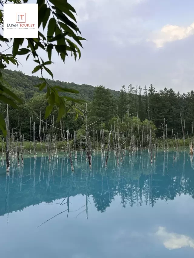   Tour Nhật Bản Cao Cấp - Hokkaido - Sapporo – Asahikawa – Otaru – Tokyo 7N6Đ