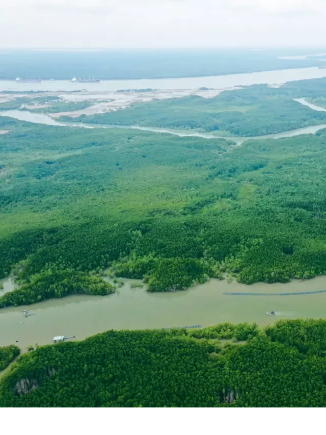   Vietravel chính thức mở lại phòng bán tour và dịch vụ du lịch: Mang đến "Hành trình xanh - An tâm trải nghiệm" cho du khách