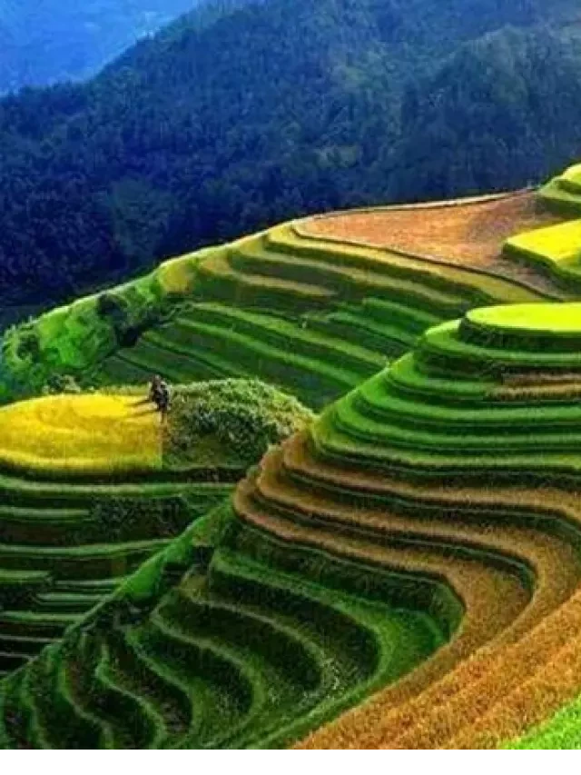   Du lịch phượt tháng 4 ở đâu đẹp? Cẩm nang du lịch - vi vu bốn phương